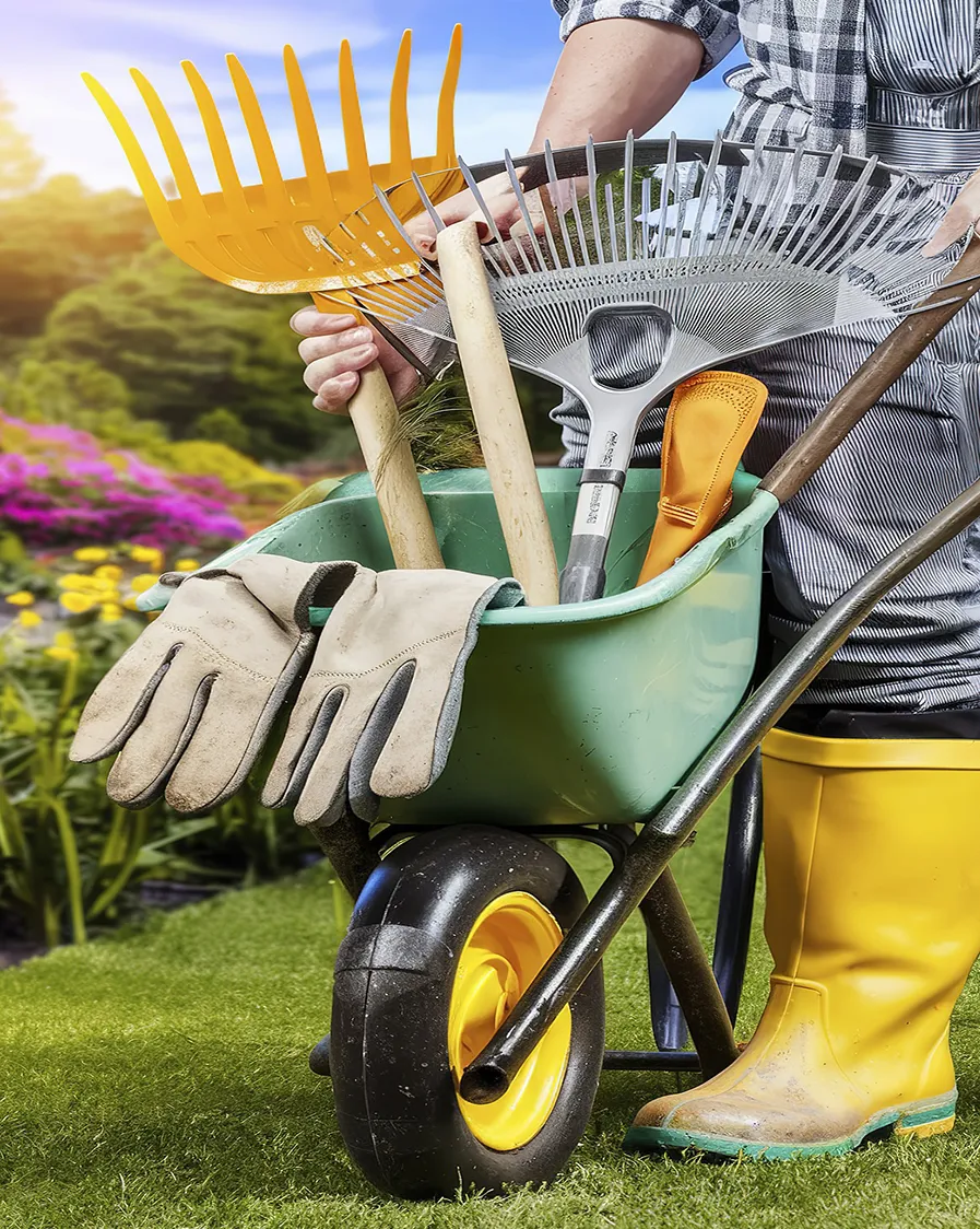 Limpeza de Jardim de Empresa no Jardim Analia Franco