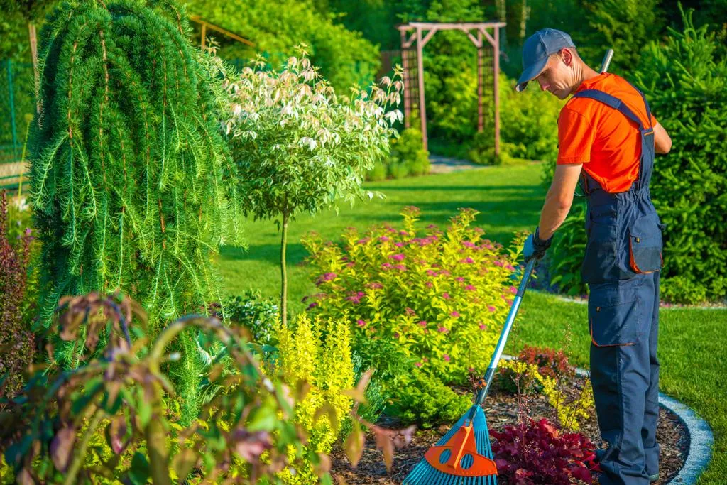 Manutenção de Jardim em Pirituba