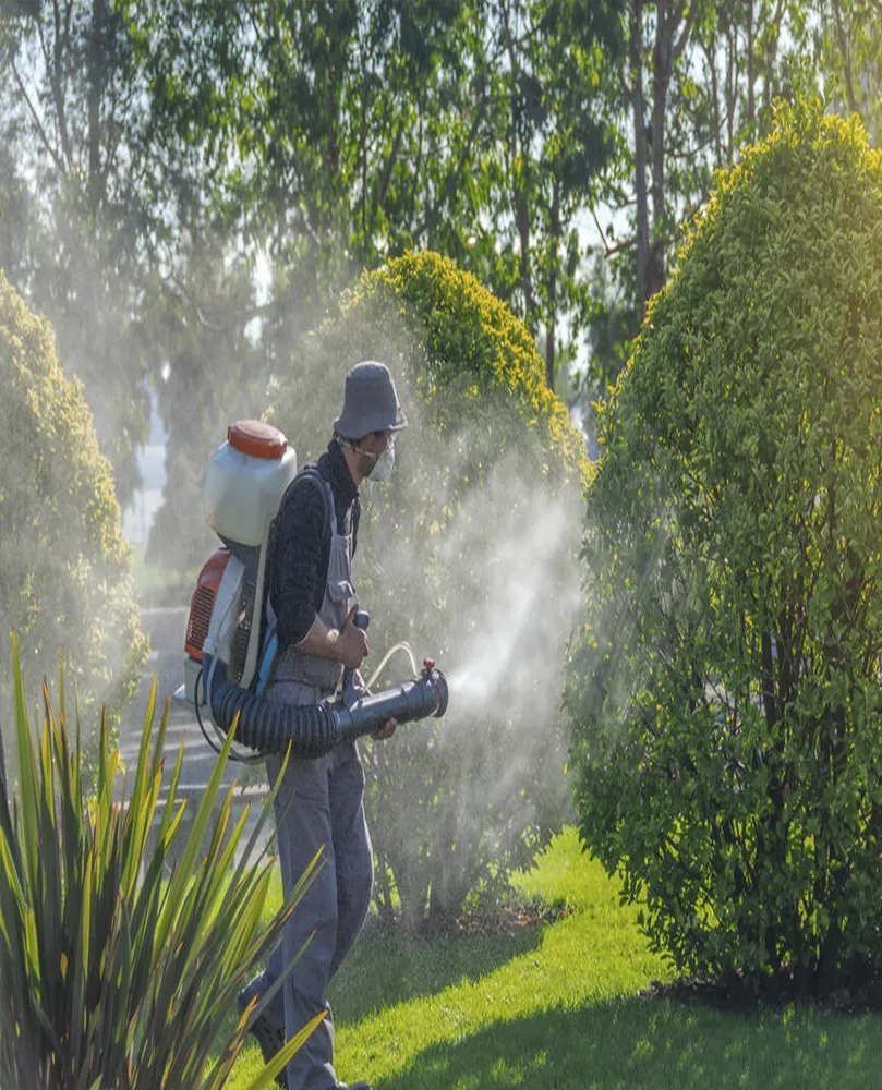 Manutenção de Jardins SP